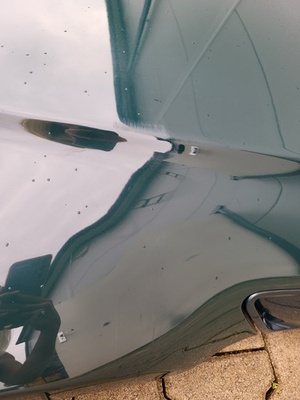 Motorhaube BMW Z3 Roadster Coupe Frontklappe Haube Blau ODER grün ABHOLUNG !!