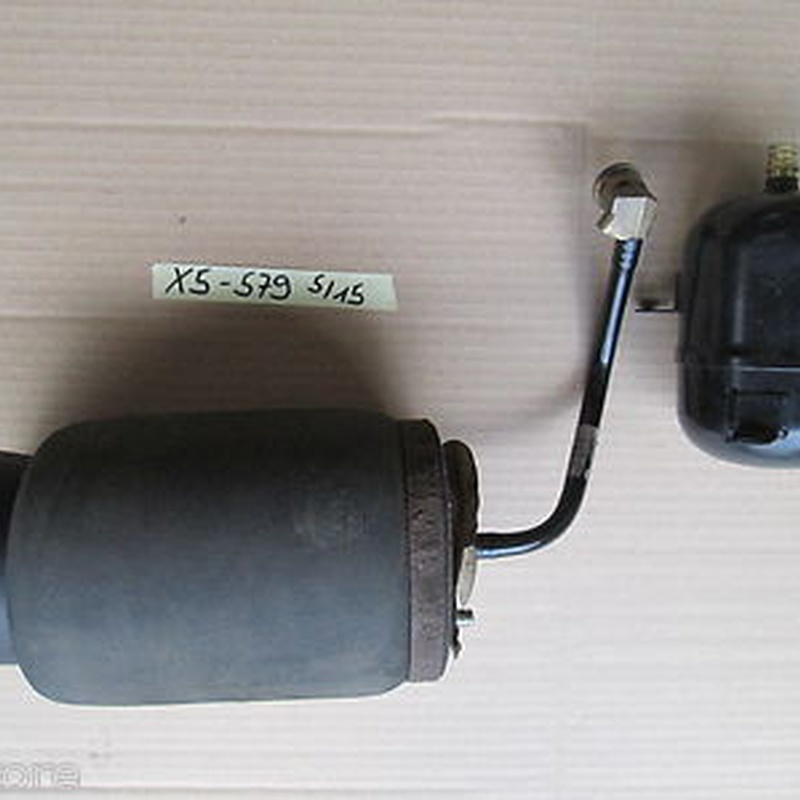 BMW X5 E53 Feder Luftfeder Luftbalg + Luftbehälter 1095579 HINTEN LINKS