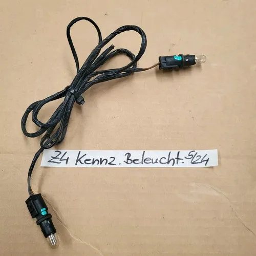 BMW Z4 E85 E86 Kennzeichen Beleuchtung Stoßstange HINTEN Nummernschild Lampe