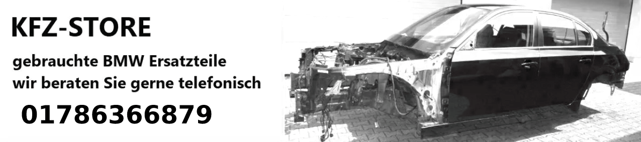 KFZ-Store Banner